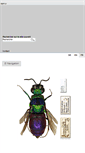 Mobile Screenshot of gbif.ch